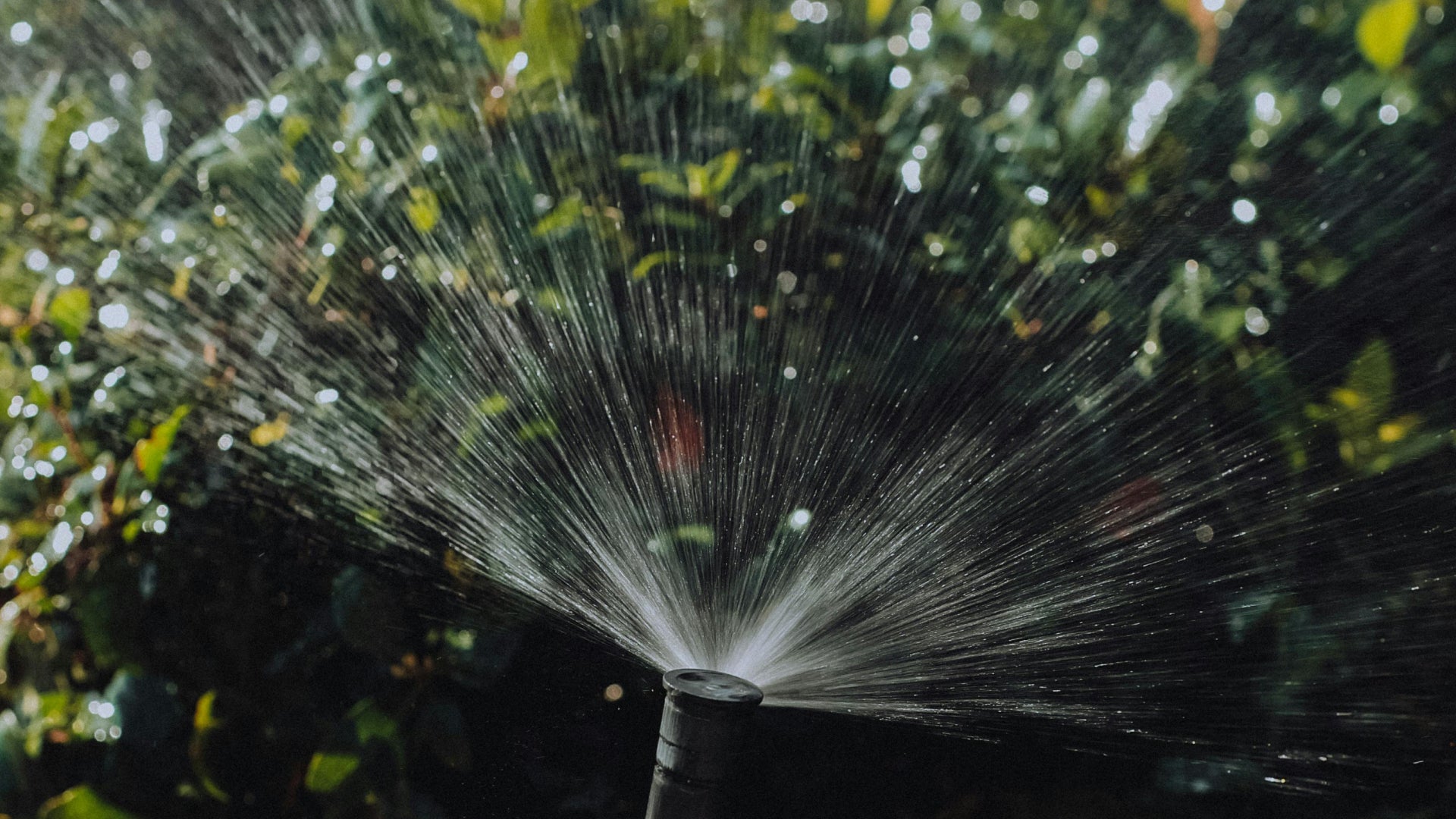 The secret to a thriving garden isn't just a green thumb. It is a space that understands it.